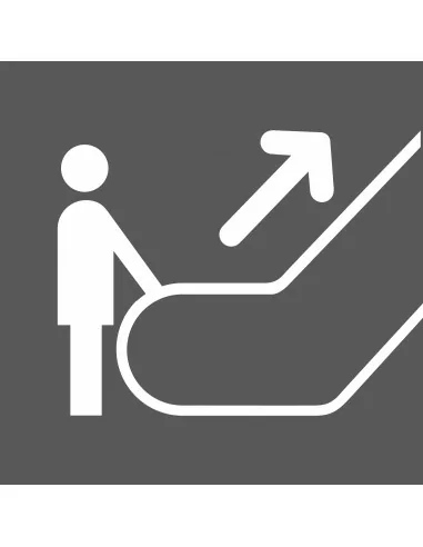 Escalator (monter)