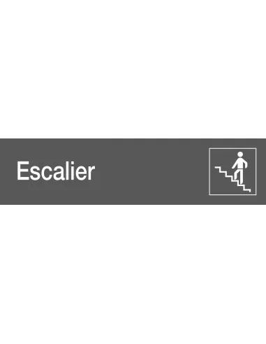 Escalier ( monter )